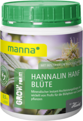 Manna Hannalin Blüte